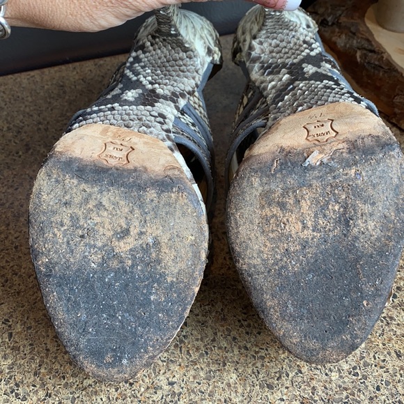 Alexandre Birman Python Heels - Picture 9 of 12